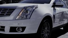 Automotive Polish
