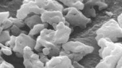 calcined alumina